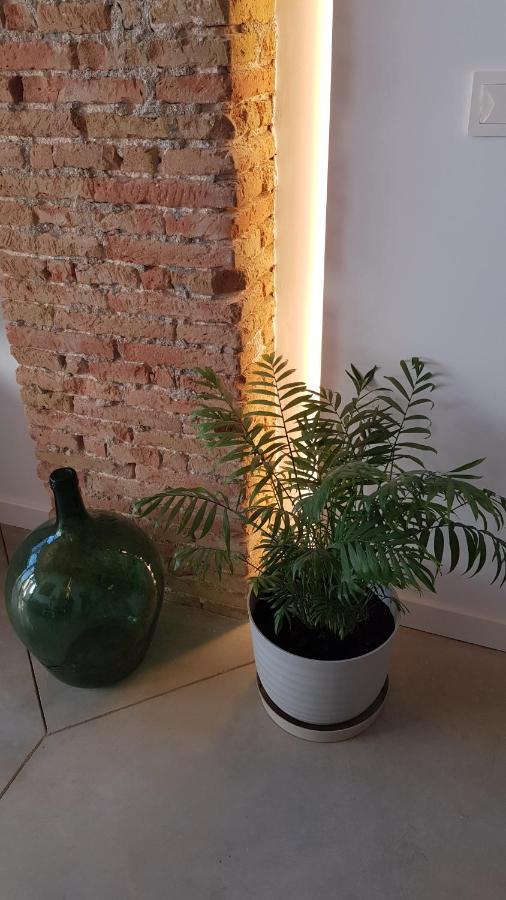 Loft Mariola - Apartamento En El Centro Historico Bocairent Kültér fotó
